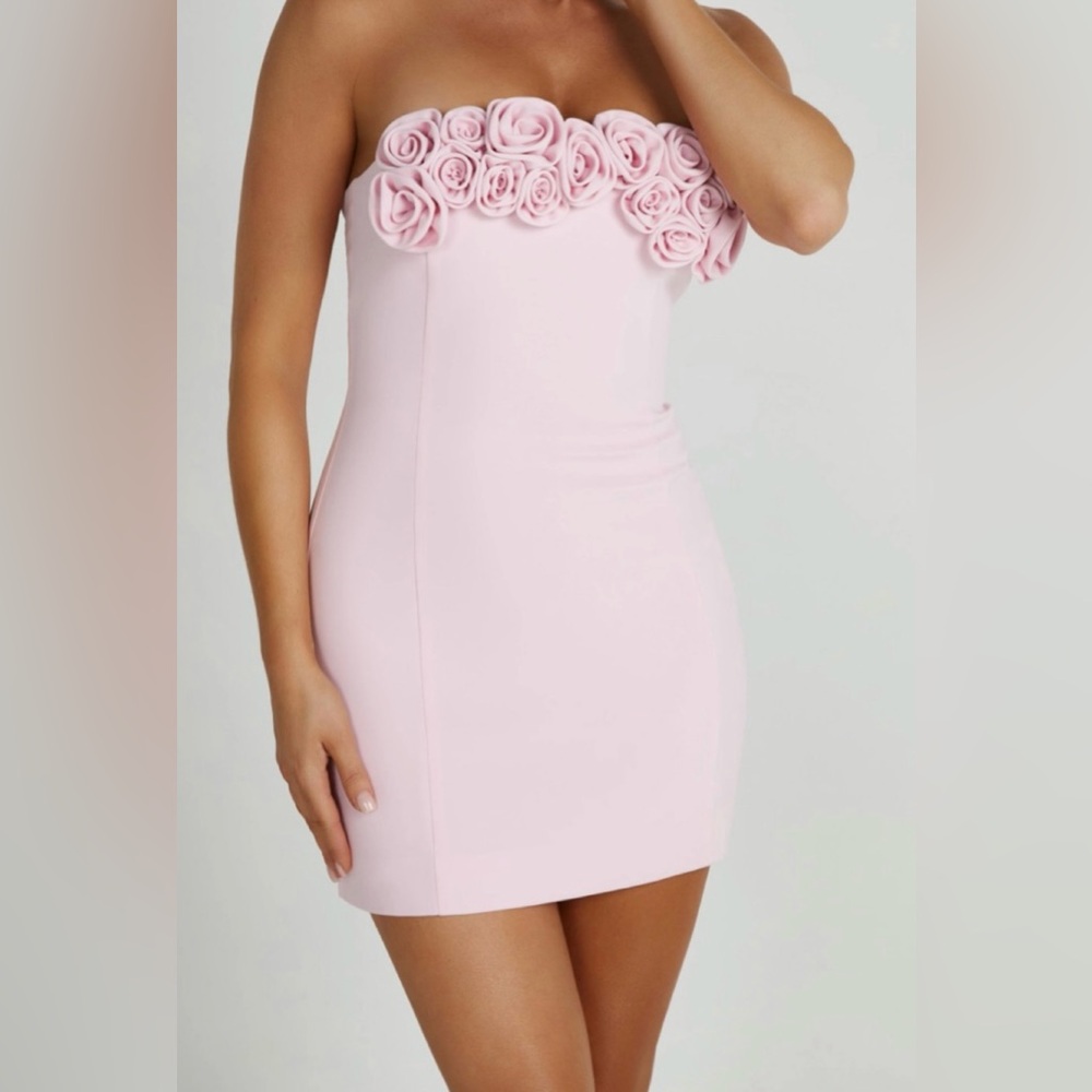 Brooks Rose Mini Dress - Blush Pink